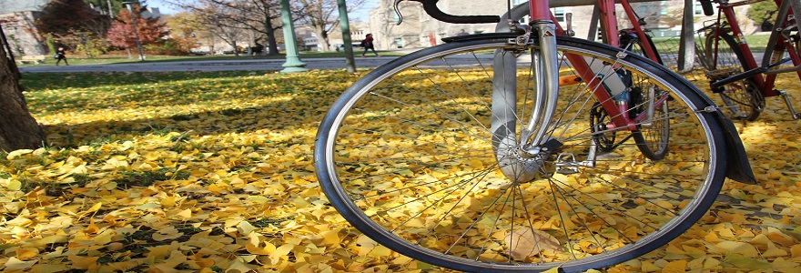 Bike Wheel